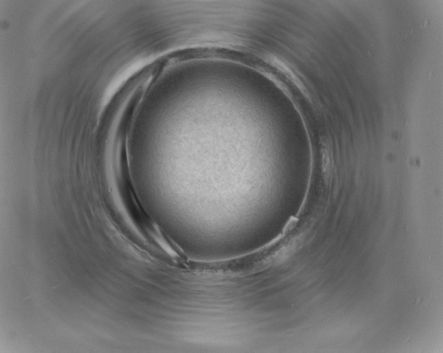 X0000060741069200511241632