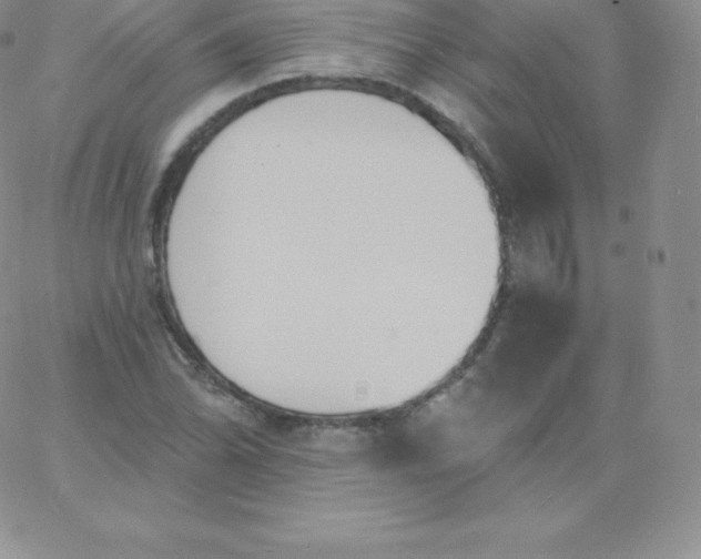 X0000060741070200511241632