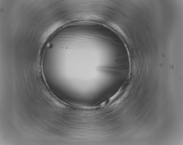 X0000060741071200511241632