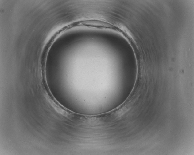 X0000060741072200511241632