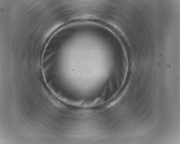 X0000060741073200511241632