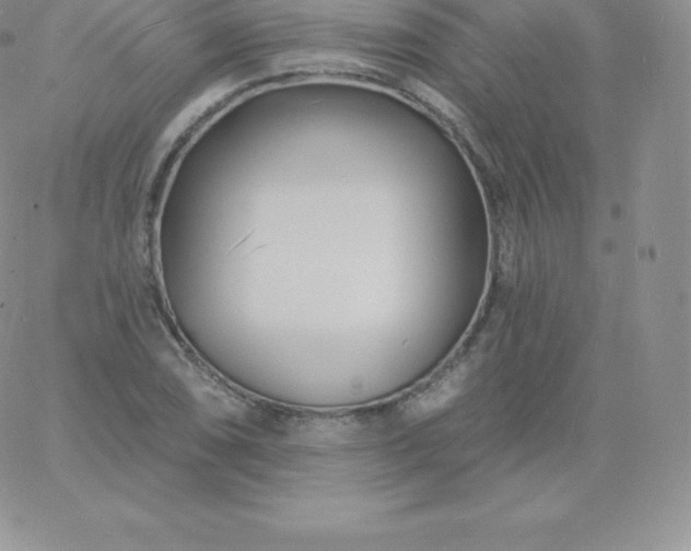 X0000060741074200511241632