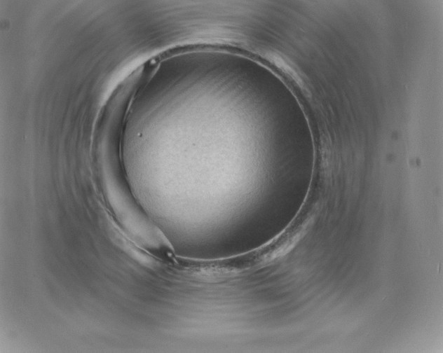 X0000060741077200511241632