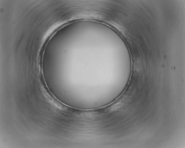 X0000060741078200511241632