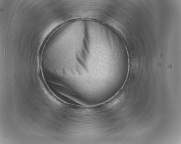 X0000060741079200511241632