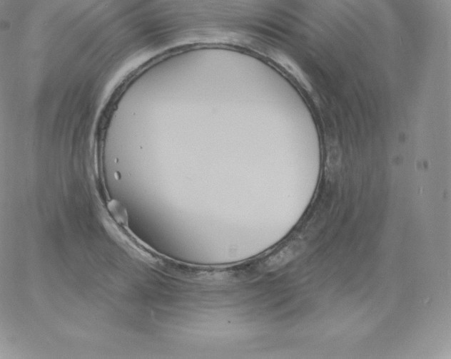 X0000060741080200511241632