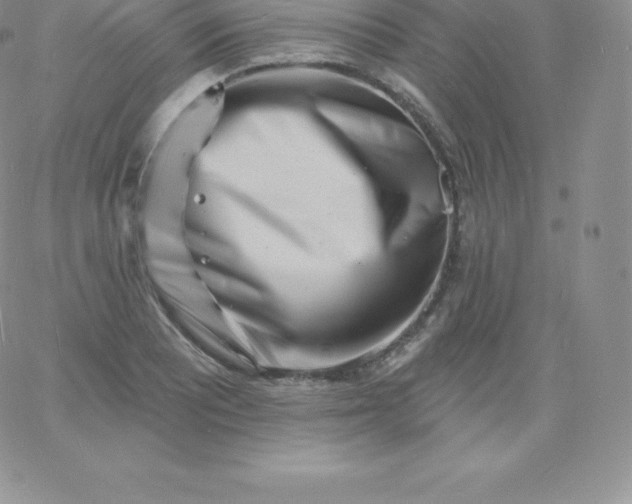 X0000060741081200511241632