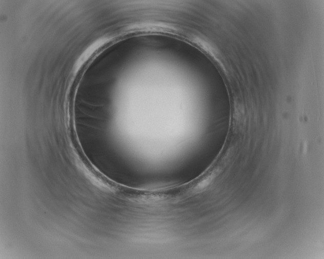 X0000060741082200511241632