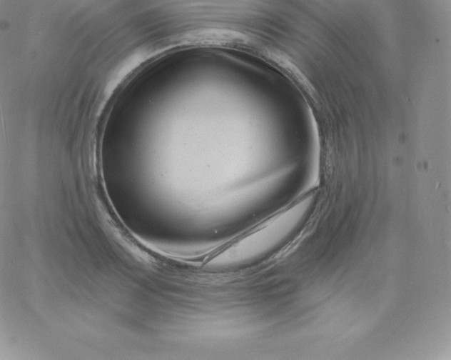 X0000060741083200511241632