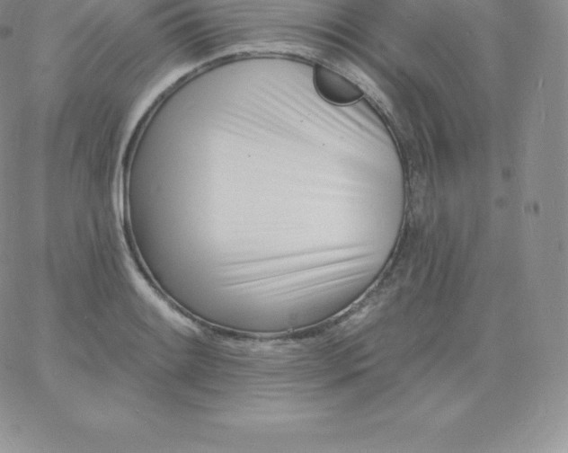 X0000060741084200511241632