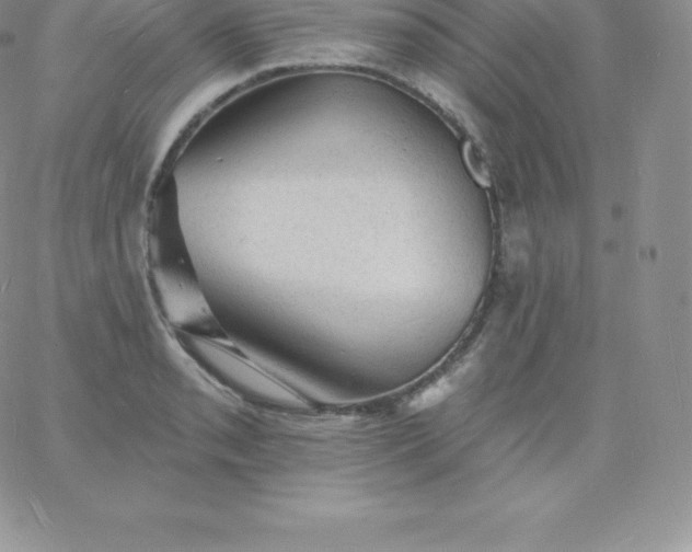 X0000060741085200511241632