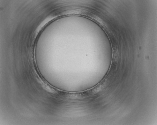 X0000060741086200511241632