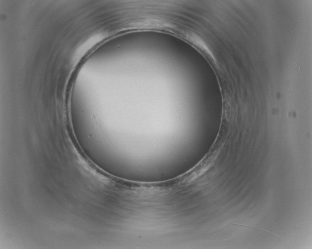 X0000060741087200511241632