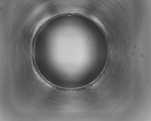 X0000060741088200511241632