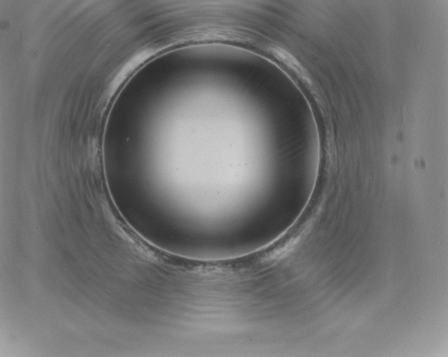 X0000060741089200511241632