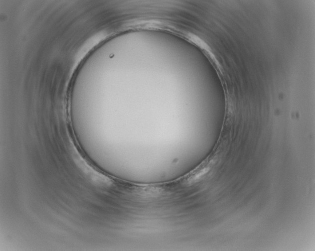 X0000060741090200511241632