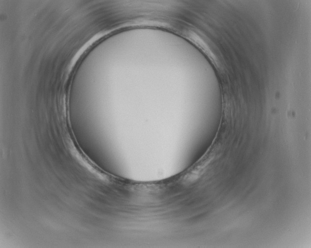 X0000060741092200511241632