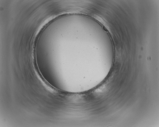 X0000060741093200511241632