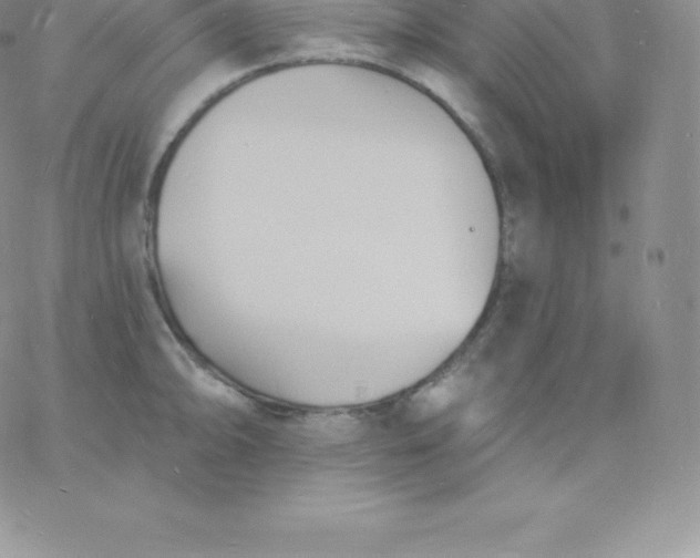 X0000060741094200511241632