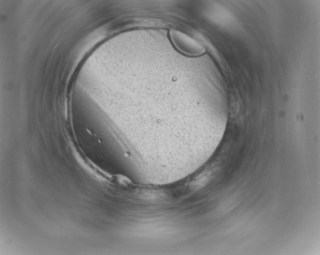 X0000060741095200511241632