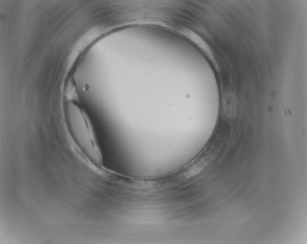 X0000060741096200511241632