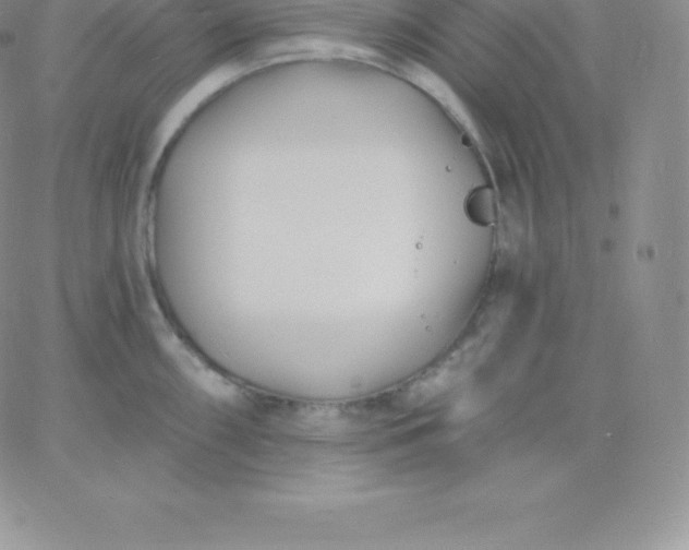 X0000060741098200511241632