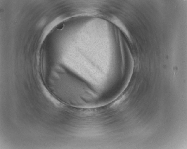 X0000060741099200511241632