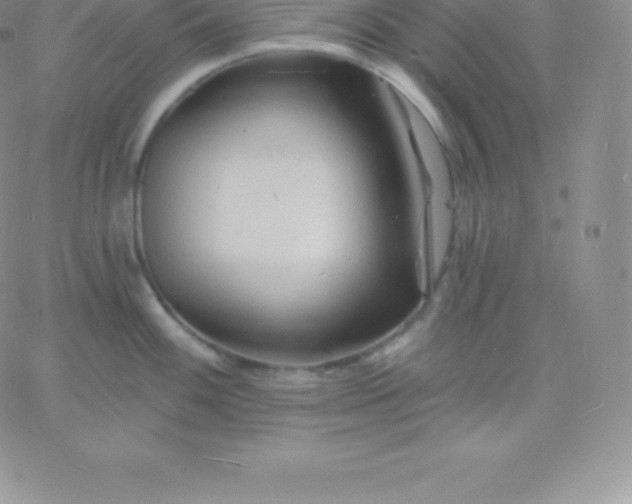 X0000060741100200511241632