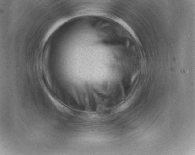 X0000060741101200511241632