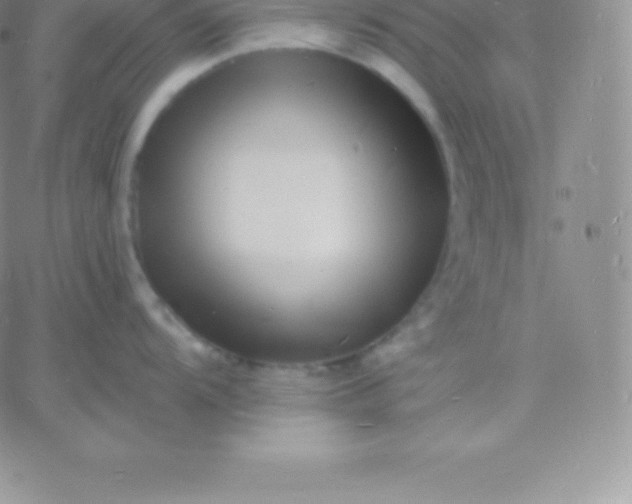 X0000060741104200511241632