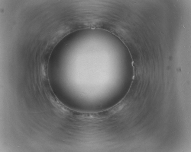 X0000060741106200511241631