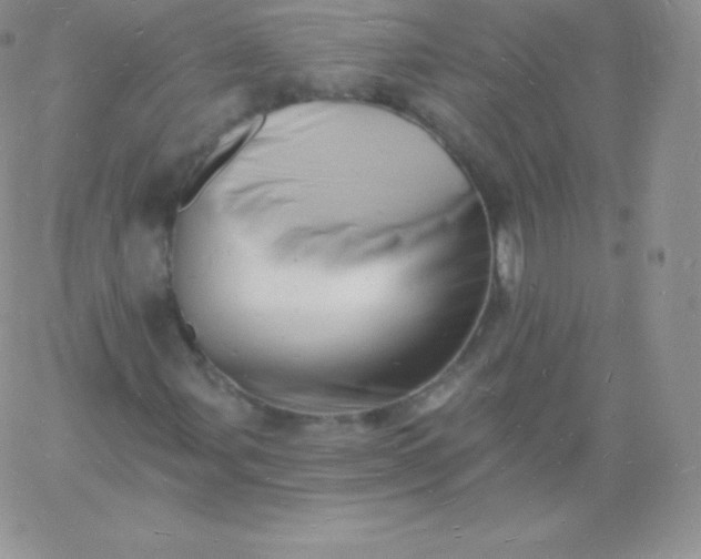 X0000060741107200511241631