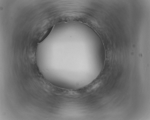 X0000060741109200511241631