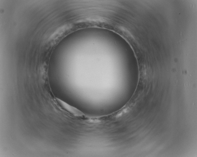 X0000060741110200511241631