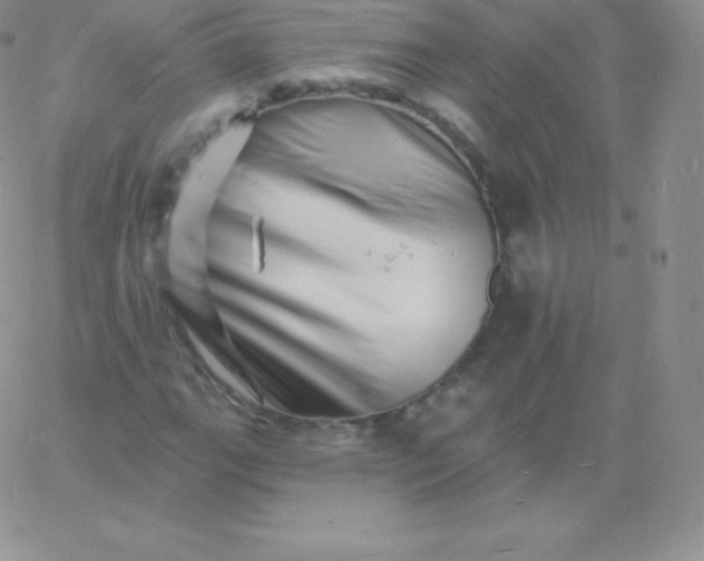 X0000060741111200511241631