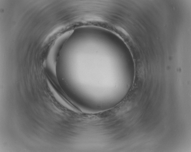 X0000060741112200511241631