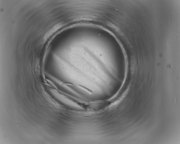 X0000060741113200511241631