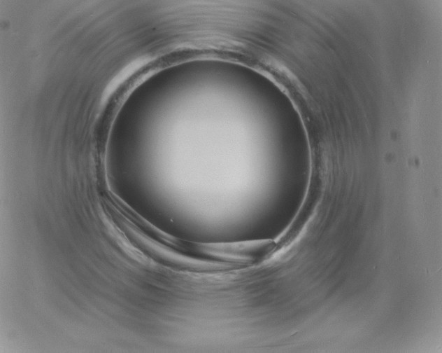 X0000060741114200511241631