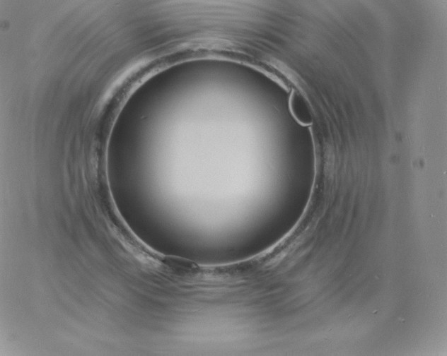 X0000060741115200511241631