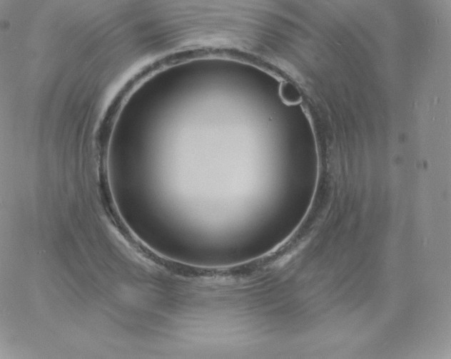 X0000060741118200511241631