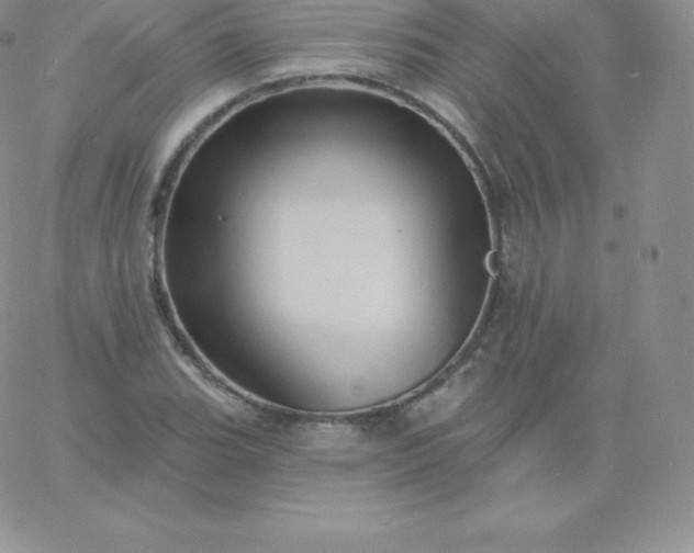 X0000060741119200511241631