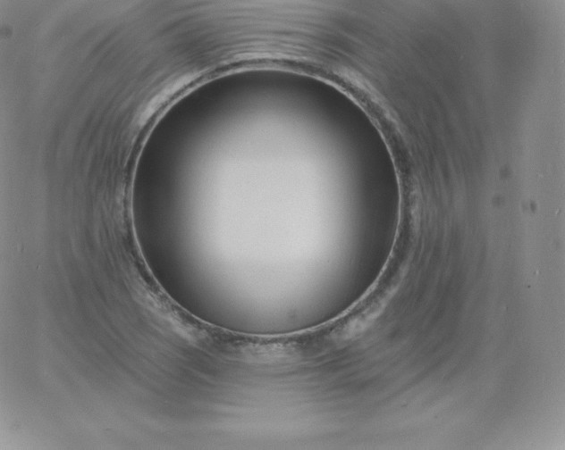 X0000060741121200511241631