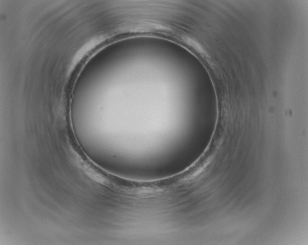 X0000060741122200511241631