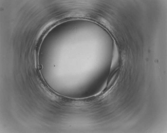 X0000060741123200511241631