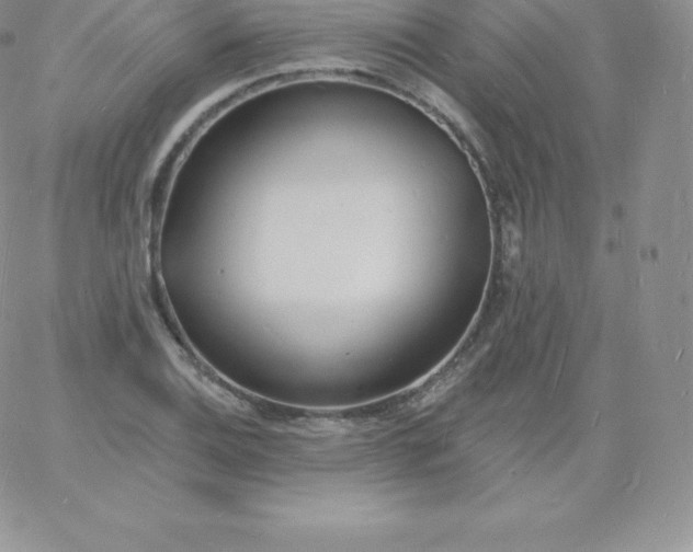 X0000060741124200511241631