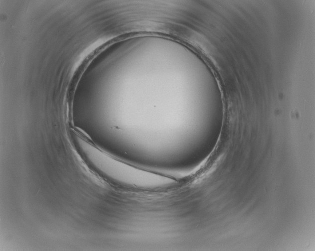 X0000060741125200511241631