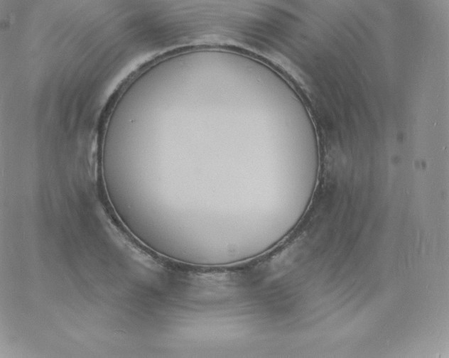 X0000060741126200511241631