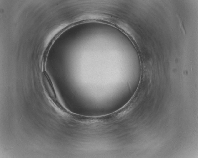 X0000060741127200511241631