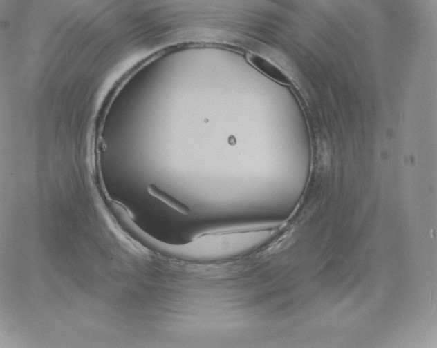 X0000060741128200511241631