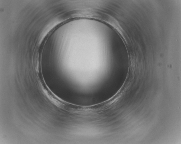 X0000060741131200511241631